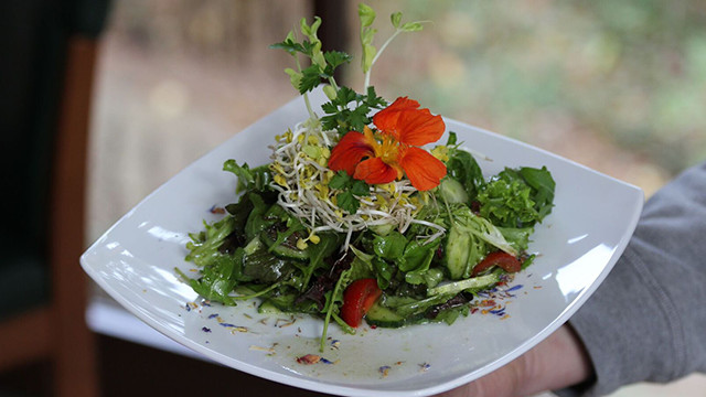 Vegetarische / Vegane Ernährung